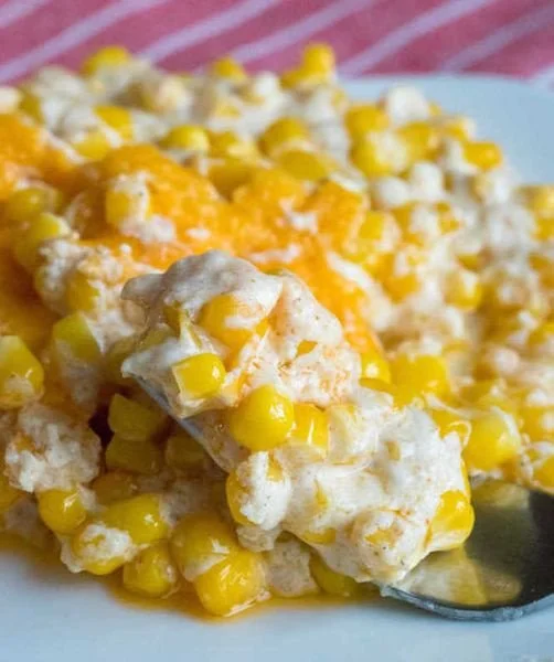 Delicious Thanksgiving casserole featuring turkey, stuffing, and seasonal vegetables.