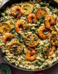 Lemon Pepper Shrimp and Orzo lemon pepper shrimp and orzo 2025 12 08 214927 117x150 1